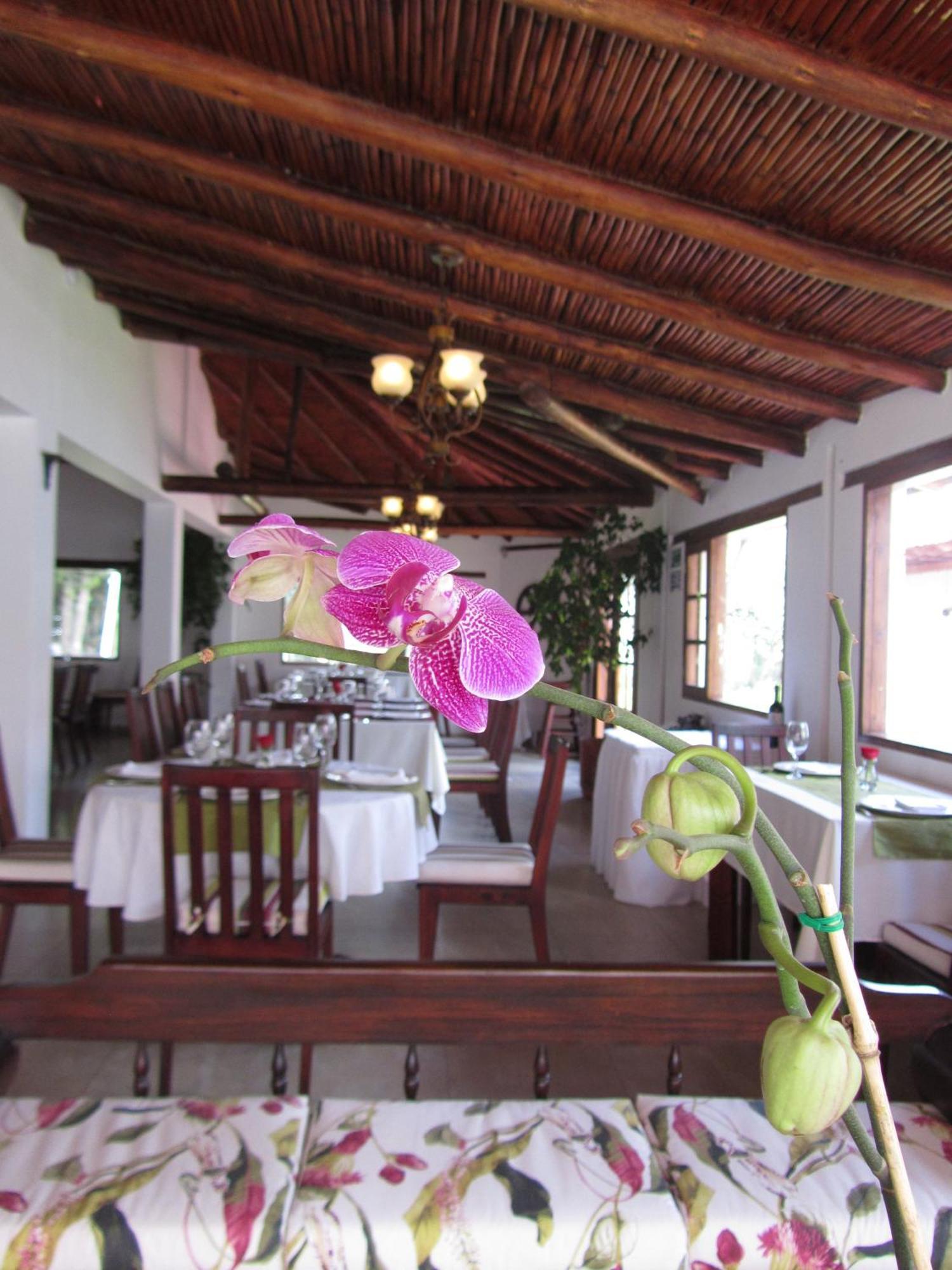 La Quinta San Andres Hotell Ibarra Exteriör bild